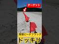 【ドッキリ】ビーチフラッグ後ろ向いて寝ている間に『旗が無限に増やされている』ドッキリ！#shorts