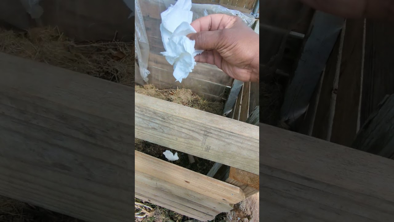 Composting 101 - 5 Items That You Can Compost but Didn't know