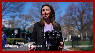 DOJ searching for suspect who attacked Alina Habba’s office, Bondi says