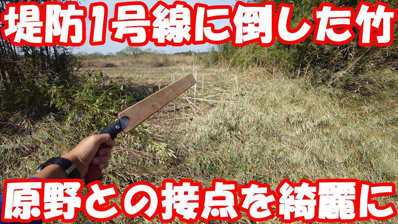 ユンボで堤防廃道に倒した原野の竹を処理。