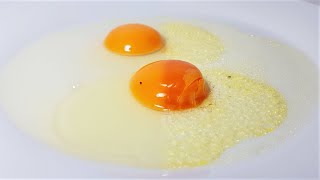 Raw Egg Macro Time Lapse - 7 Days【4K-macro】