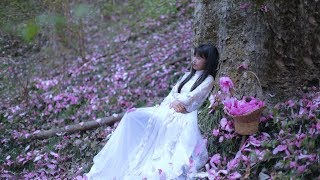 Picking Out Blooming Flowers To Make Aromatic Dew 摘下一朵朵盛放的花，凝结成香喷喷的露——纯露|Liziqi Channel