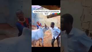 Günüm Kötü Geçti Diyorsan Mutlaka Izlemelisin