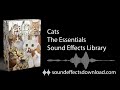 Cat Sound Effects Library - The Essentials Collection