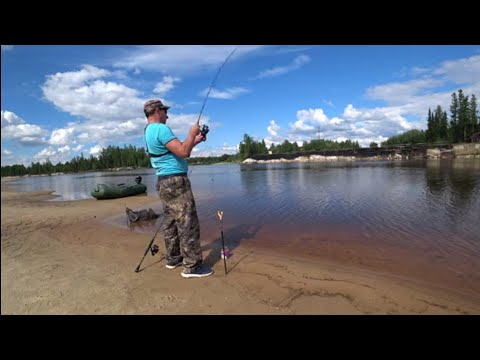 НА этой косе рыба клюет ДУРОМ! Щука долбит на каждом забросе!!! На рыбалке с сумкой KIMOTO!