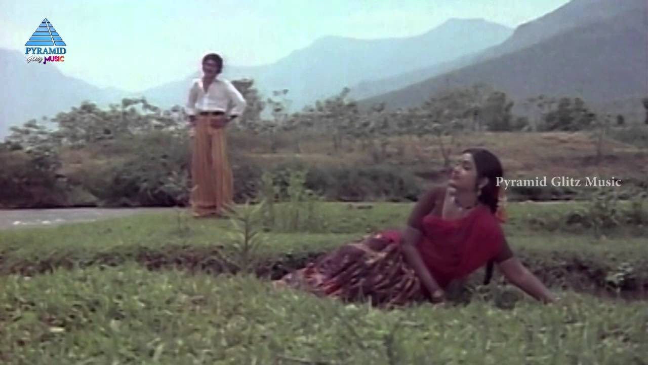 Chinna Chinna Veedu Katti Tamil Movie  Naakkile Mukile Song  Sudhakar  Jayam  Shankar Ganesh