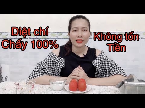 Video: 4 cách tìm chấy trên tóc