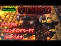 【ガンヘッド】1/35 UNIT NO.507 GUNHED。「死ぬときはスタンディングモードで！」KOTOBUKIYAのガンヘッド愛を感じる！「確率なんてクソ食らえでしょう？」【コトブキヤ（寿屋）】