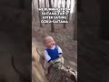 Baby riding cheetah meme ||#shorts