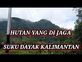 Pencarian Kampung Suku Dayak Kalimantan