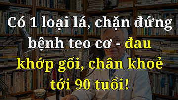NGƯỜI CAO TUỔI: ĐỪNG CHỈ XOA BÓP? UỐNG NƯỚC 5 LÁ NÀY – MỞ KHỚP GỐI, HẾT TÊ TAY, CHÂN KHOẺ TỚI 90!