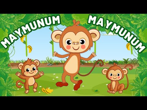 Maymunum Maymunum - Eğlenceli Bebek Şarkıları - Maymun Şarkısı - Çizgi Film