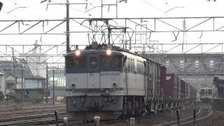 JR貨物 EF65-1036 貨物列車(5087レ JR貨物更新色 白プレ PS17) 清洲駅
