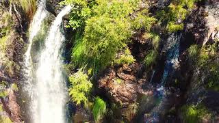 Quandong Falls, Nightcap National Park, Northern NSW