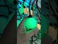 Rose Lighting