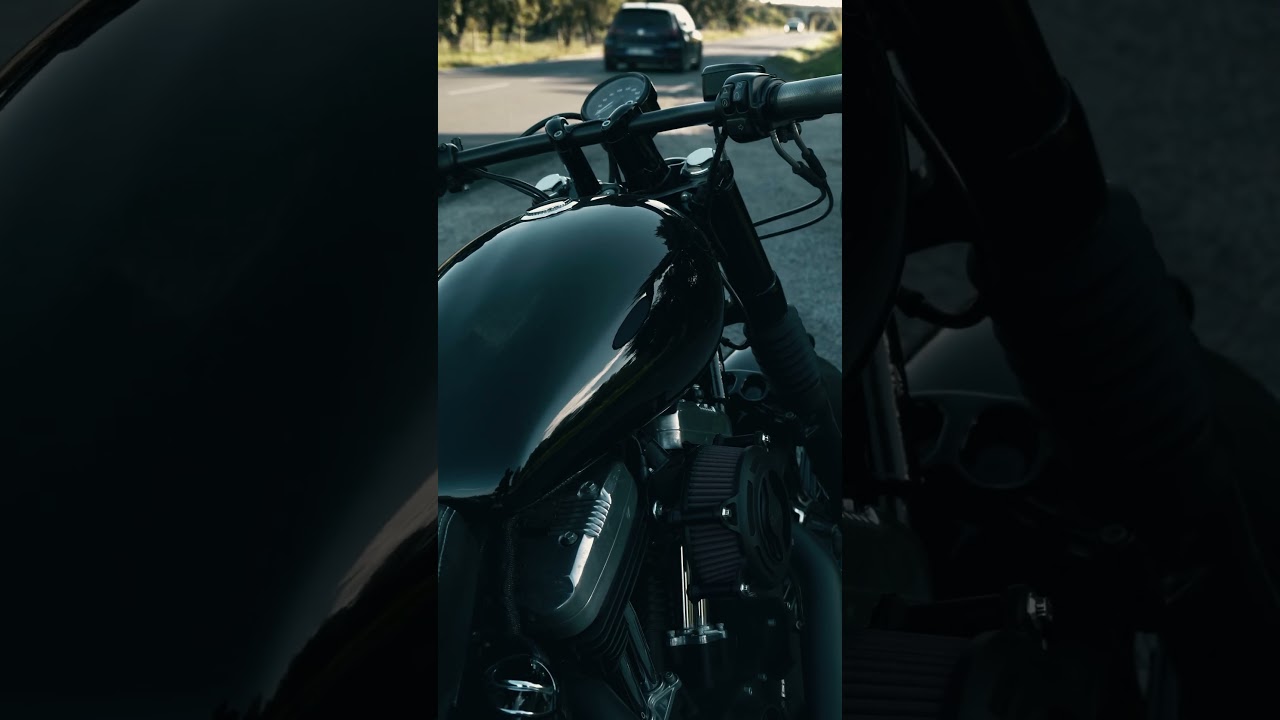 Harkey-Davidson Forty-Eight