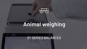 5Y Functions: Animal Weighing