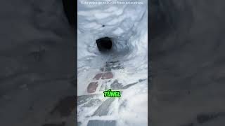 Famous Nobody expected what was in that tunnel 😱 Profile