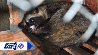 Đột nhập hầm nhốt thú rừng của nhà hàng | VTC