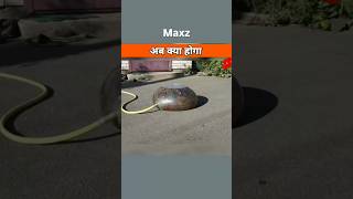 Jelly Balls Par Powerful Laser Maarne Se Kya Hota Hai? 😨 #shorts #factshorts #ytshorts