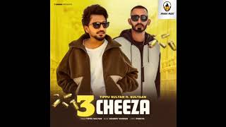 3 Cheeza (official video) | Tipu sultan | Sultan letest new Punjabi song 2024