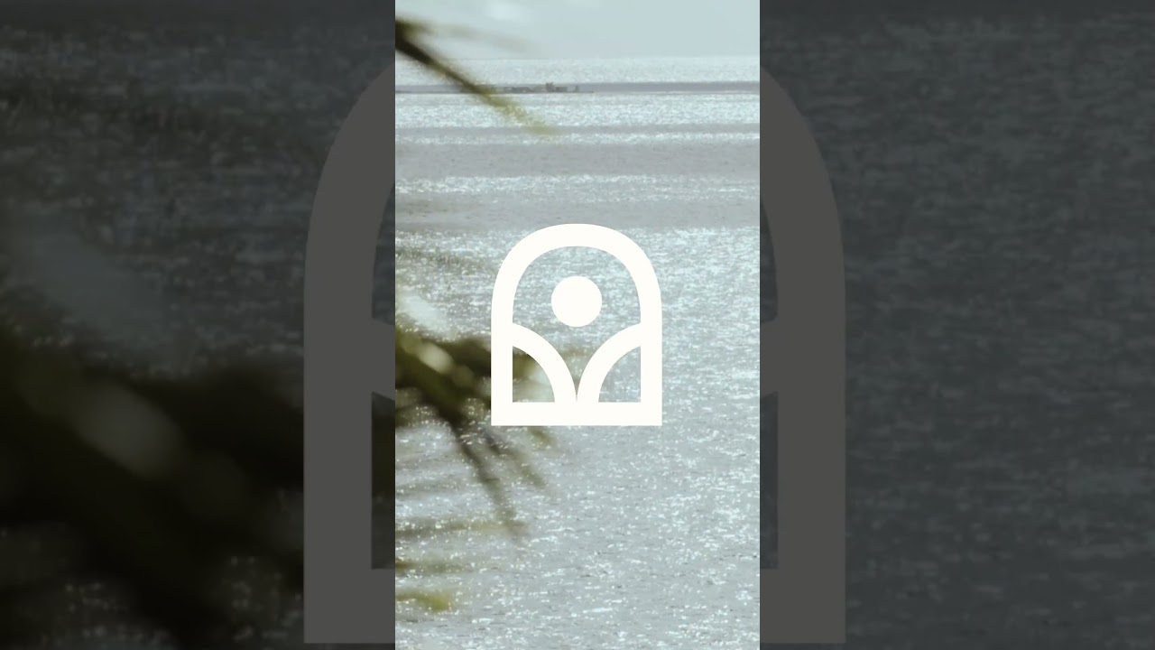 Logo Animation