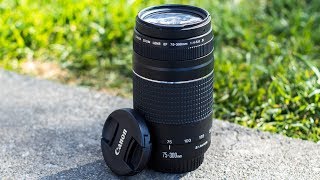 5 Reasons Why You SHOULD Consider The Canon 75-300mm Lens!