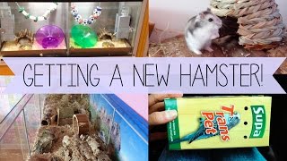 Getting A New Hamster Vlog