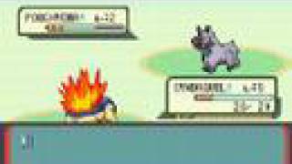 Famous Pokemon Ruby Hack update Net Worth