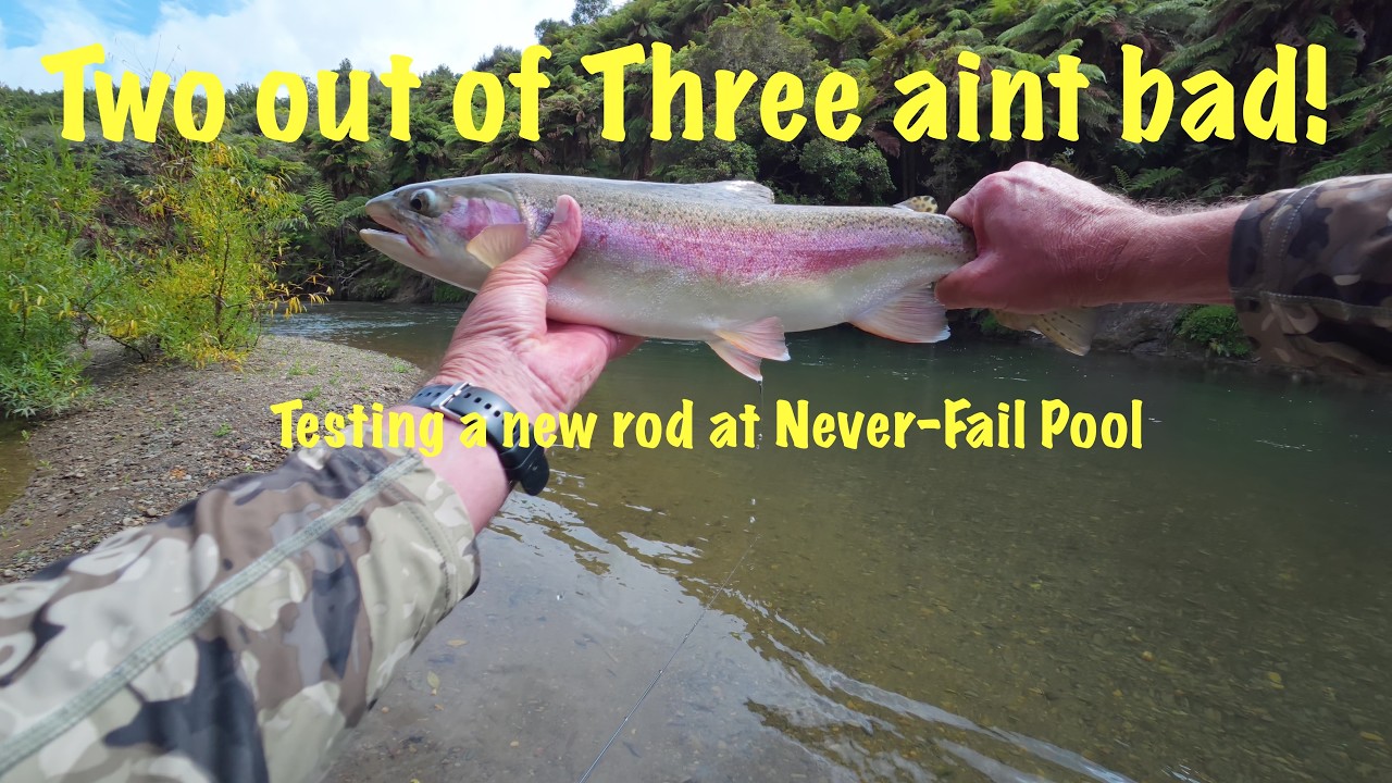 Two Out of Three Ain't Bad