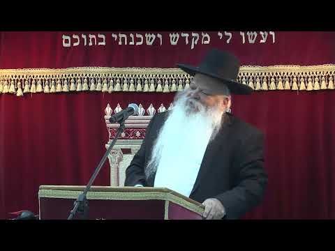 סגולה לפרנסה טובה | קצרים | הרב דניאל זר