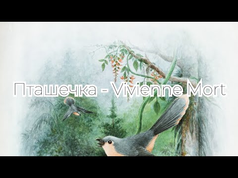 Пташечка - Vivienne Mort (Текст пісні)