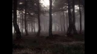 THE CURE - A Forest (lyrics)