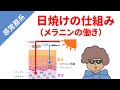【日焼けの仕組み】メラニンの働き(UVAとUVB)とは