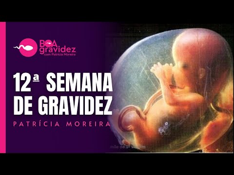 Vídeo: 12 semanas de desenvolvimento do bebê