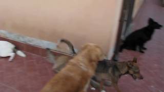MVI_0005.AVI