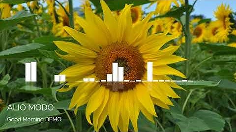 Alio Modo - Good Morning DEMO