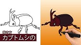 カマキリ の描き方 色鉛筆とペンの簡単イラスト Mantis Youtube