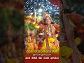 හෙළයේ මහා සංස්කෘතික මංගල්ය - කතරගම ඇසළ පෙරහැර මංගල්යය 2026!