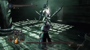 DARK SOULS™ II: Scholar of the First Sin: Flexile Sentry, pure Hexer NG+