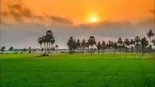 Desh Rangila Rangila Desh Mera Rangila Status🇮🇳🇮🇳🇮🇳