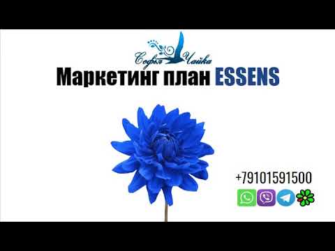 Маркетинг план essens