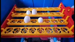 แนะนำการใช้ตู้ฟักไข่กลับออโต้ขนาด32ฟอง by dmFram
