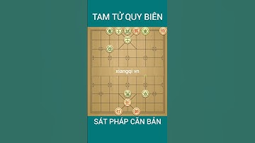 Sát chiêu thực dụng. Tam tử quy biên #games #cotuong #xiangqimaster