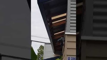 Huge Python Crawls On Garage || ViralHog