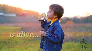 Compositing Adobe Assignment