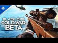 BLACK OPS COLD WAR BETA - FULL GAMEPLAY & BETA CODE GIVEAWAY! (Call of Duty Cold War)