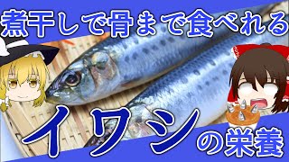 【ゆっくり解説】イワシの栄養について解説します。