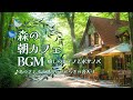森の朝カフェBGM 癒しのピアノとボサノバ ♪鳥の声・川のせせらぎ音入り♪【カフェBGM】
