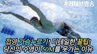 라이브방송)🔴 접영 가슴누르기, 당신의 수영이 50m를 못가는 이유